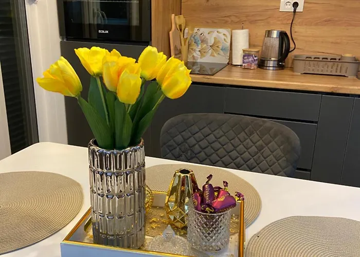 Apartmán Cvetkovici3Dlux Zlatibor